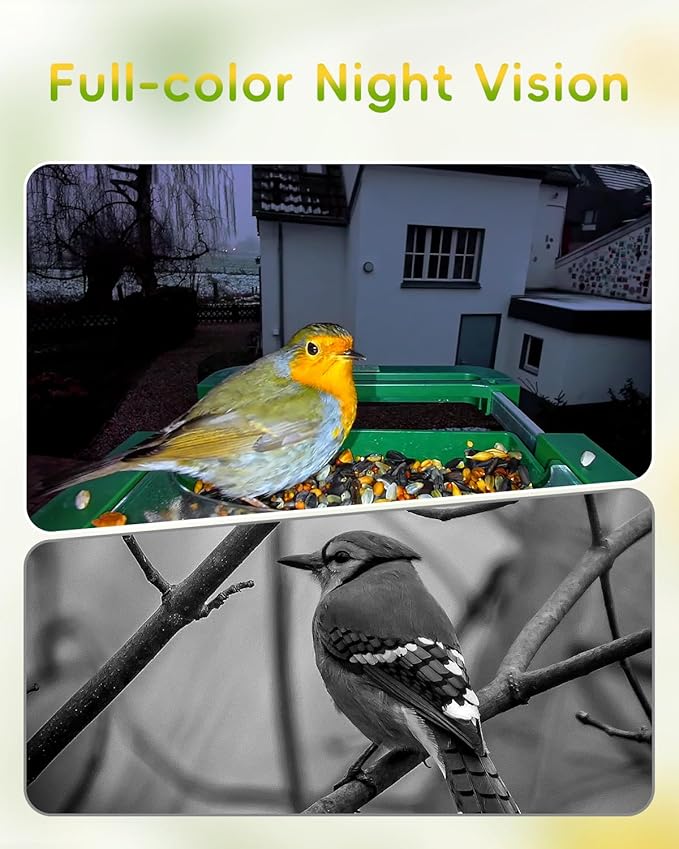 4K HD Smart Bird Feeder with Camera