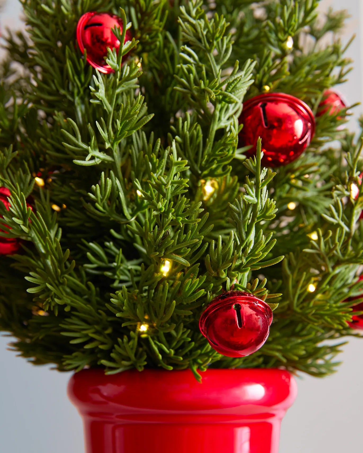 Jingle Bells Potted Pine Trees