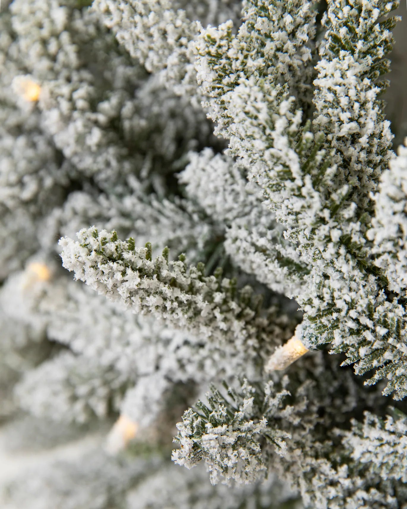 Frosted Fraser Wreath