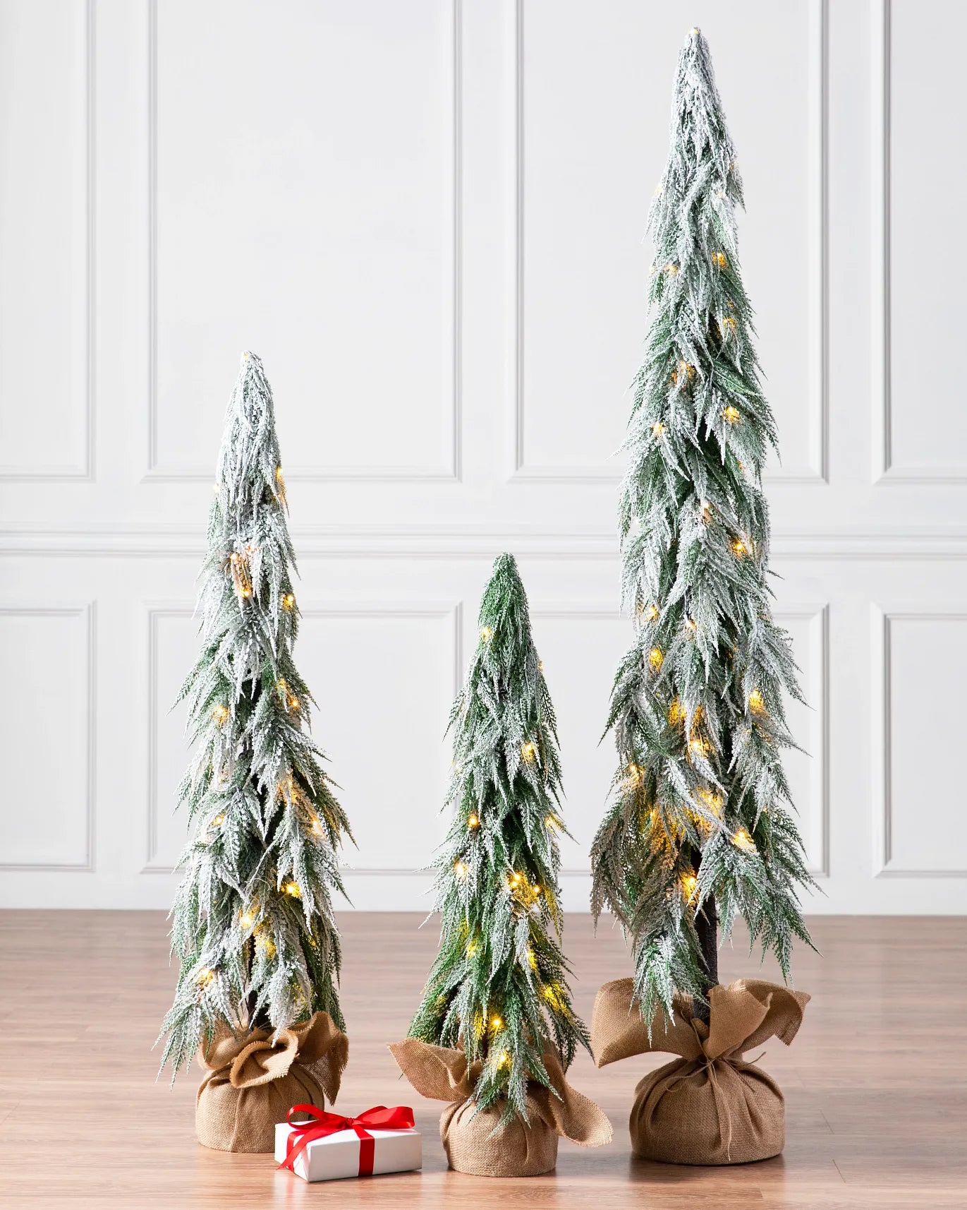 Snowfall Downswept Trees