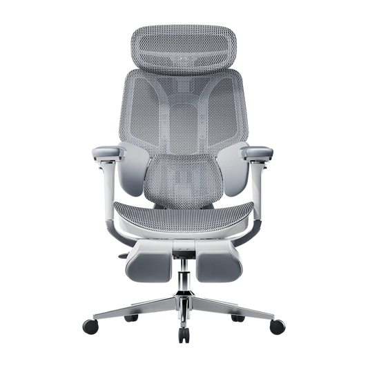 Ergonomic Office Chair Hbada E3 Pro