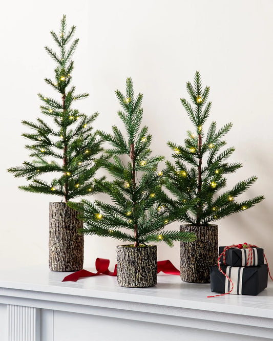 Evergreen Saplings Tabletop Trees
