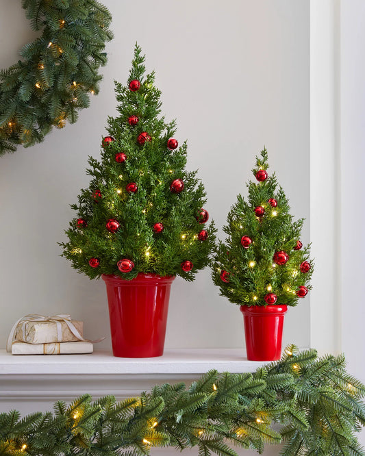 Jingle Bells Potted Pine Trees