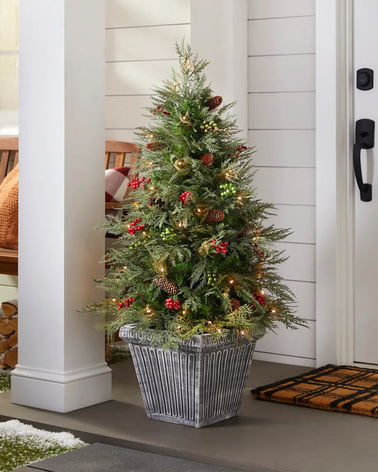 Outdoor Winter Evergreen Tree