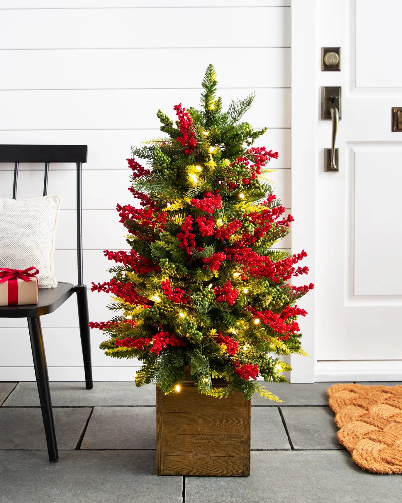 Albero di bacche da esterno